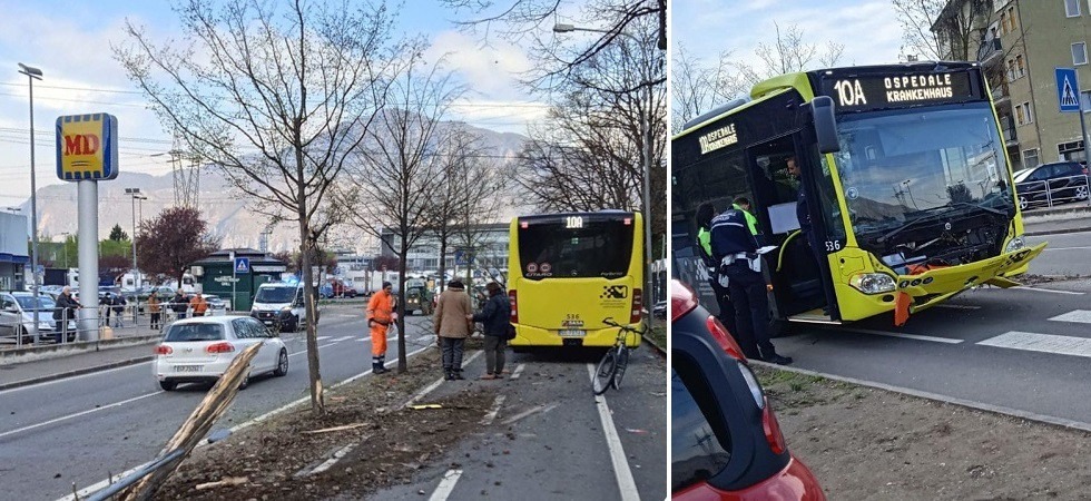 Foto Facebook Bolzano in Comune L'autobus esce dalla carreggiata e finisce sulla ciclabile dopo aver travolto una pianta